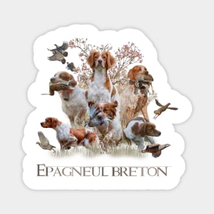 Épagneul breton Magnet