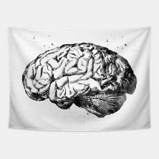 Human Brain Tapestry