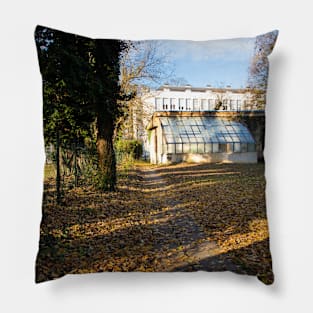 Sunlight between trees and a building in background Pillow