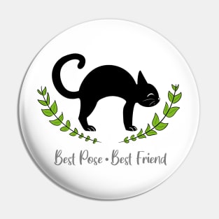 Cat Pose Pin