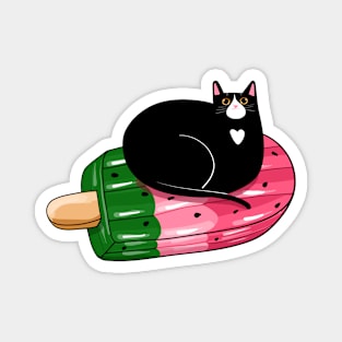 Watermeowlon Floatie Magnet