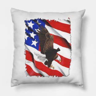 Freedom Flight Pillow