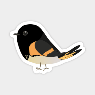 A vector illustration of a cute comic American redstart Magnet