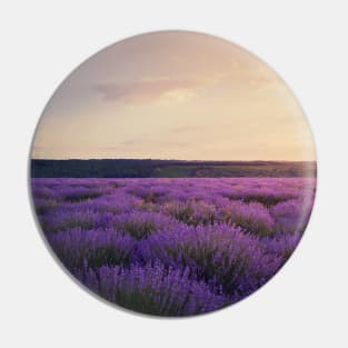 lavender field Pin