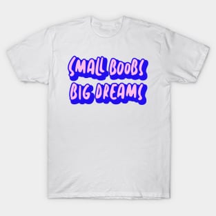 Small Boobs Big Dreams Tee - White