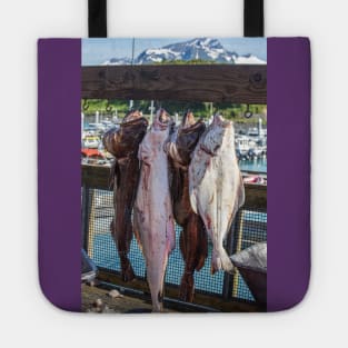 USA. Alaska. Valdez. Fish Catch. Tote