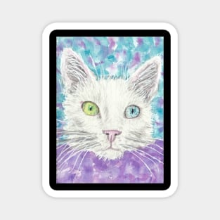 white cat  face blue and  green eyes Magnet