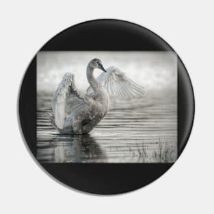 Swan Pin