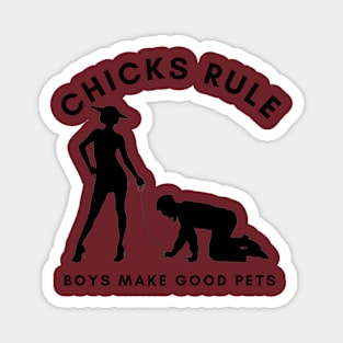 Chicks Rule Boys Make Good Pets Humor Female Empowerment Feminism Magnet