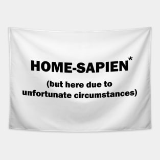 Home Sapien but here due to unfortunate circumstances Introvert Tapestry