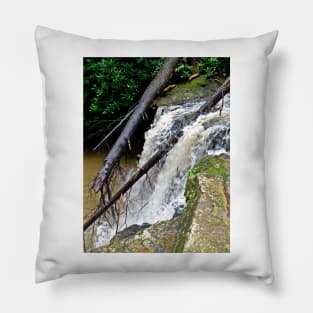 Marsh Fork Falls Pillow