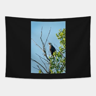 Bald Eagle Tapestry