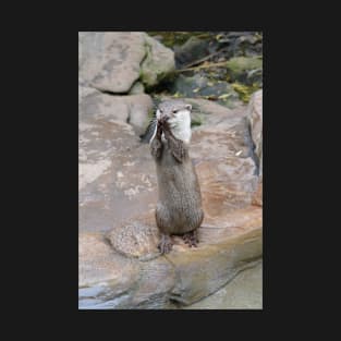 Standing Otter T-Shirt