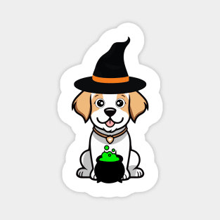 Funny Happy Dog is wearing a witch costume Magnet