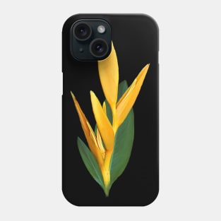 Heliconia - Tropical - Flower in Kenya / Africa Phone Case