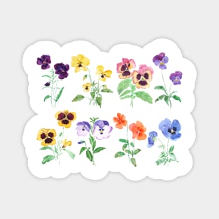 Colorful pansy garden watercolor Magnet
