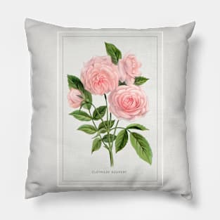 Pink rose, Clothilde Soupert lithograph (1900) Pillow