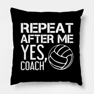 'After Me, Yes Coach' Witty Baseball Coach Gift Pillow