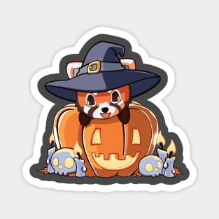 Red panda in a pumpkin Magnet