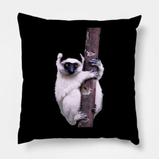 Cute Sifaka Lemur monkey clinging to a tree Pillow