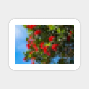 Bright red flowers on trees mosaic against blue sky Magnet