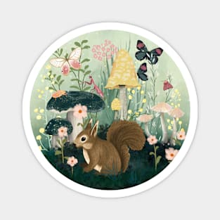 Squirrel Magnet