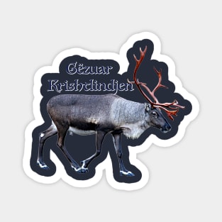 Gëzuar Krishtlindjen Magnet