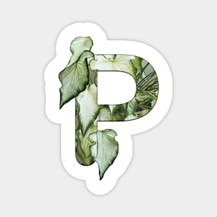 Letter P Magnet