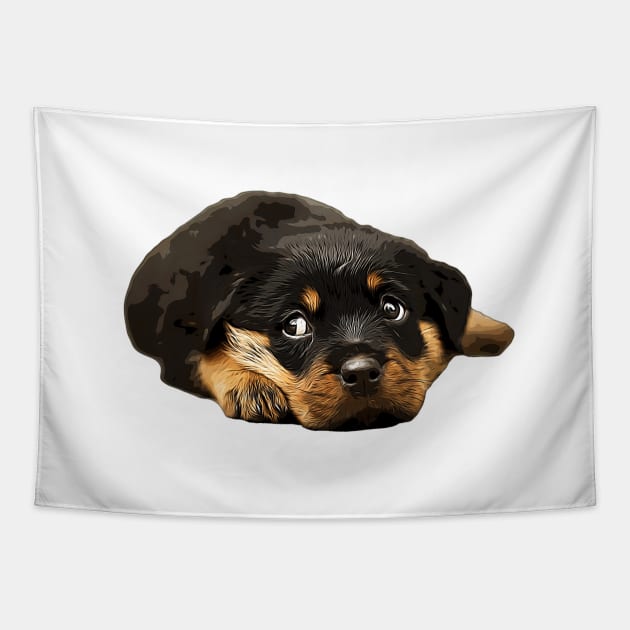 Rottweiler Cutest there is
