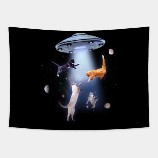 Cats In Space With UFO Tapestry