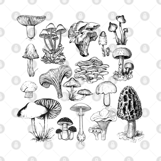 Mushroom Illustrations by LylaLace Studio