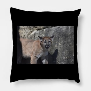 Cougar Cub Pillow