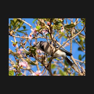 Flowering Tree with Blue Jay and Blue Skies T-Shirt