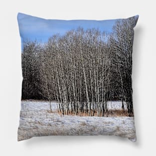 Winter scene from the trail Pillow