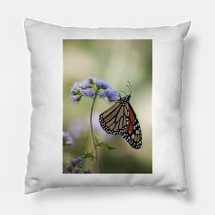 Migration Series Pillow