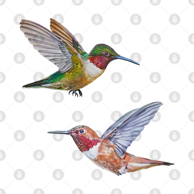 Hummingbirds set (Rufous & Ruby Throated) by EmilyBickell