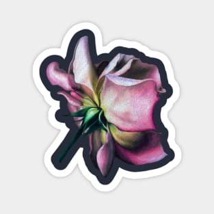 Pink rose Magnet