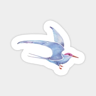 Colorful Bird - Watercolor Tern in Blue, Violet, and Orange Magnet