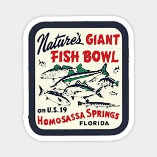 Homosassa Springs Florida Magnet