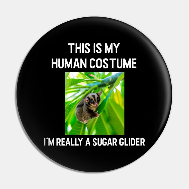 Sugar glider Halloween costume Pin by zeevana