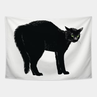 Black Cat Arch Tapestry