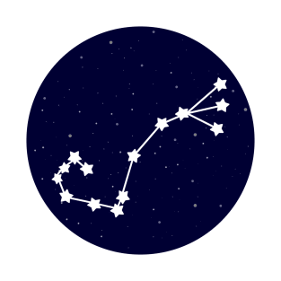 Scorpio Zodiac Constellation T-Shirt