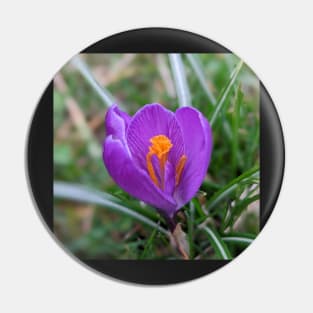 Purple and Orange Flower 3 Pin