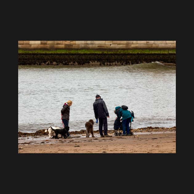 Dog walkers in Whitby by jasminewang