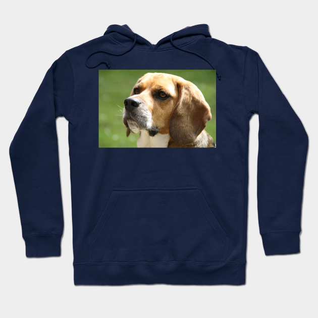 beagle hoodies