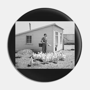 Farm Girl Feeding Chickens, 1936. Vintage Photo Pin