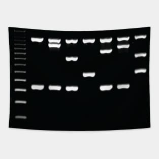 Gel Electrophoresis Fun Tapestry