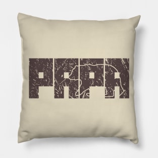 Papa Bear Father's Day Vintage Graphic Design For Dad Pillow