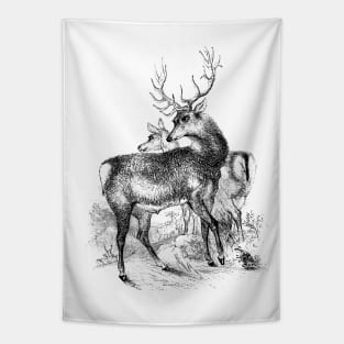 Deer Vintage Illustration Tapestry