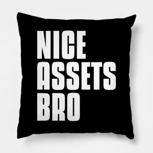 Nice Assets Bro Investing Pillow